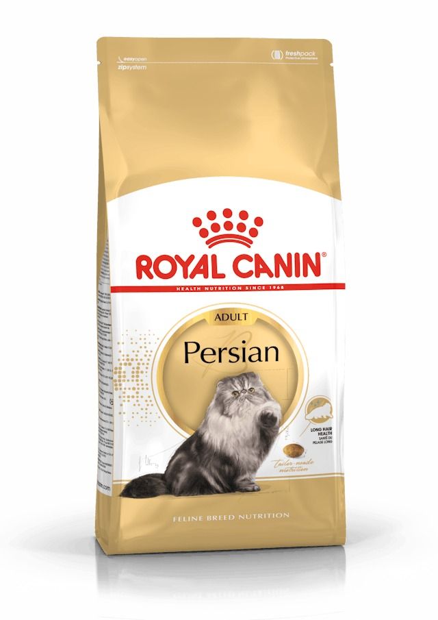 RC. FBN Persian 2kg